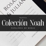 Colección Noah